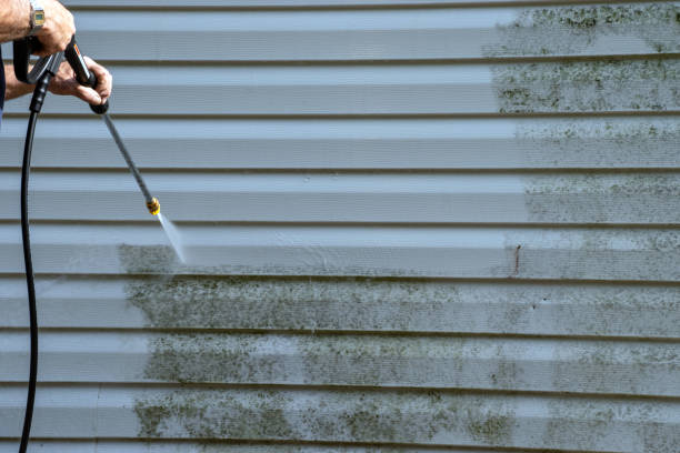 Best Insulated Siding Installation  in Enterprise, UT